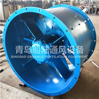 CBZ-100B Marine explosion-proof axial flow blower