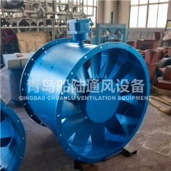 CBZ-100D Marine explosion-proof axial draught fan